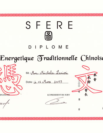 Diploma in Energetica secondo la  Medicina Tradizionale Cinese
