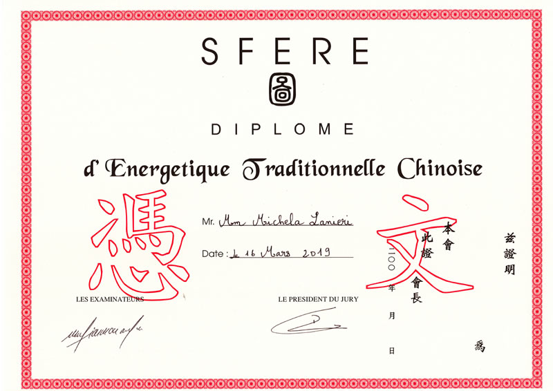 Diploma in Energetica secondo la  Medicina Tradizionale Cinese